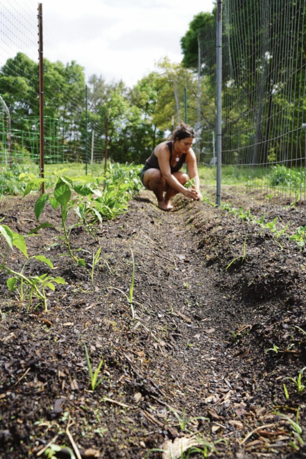Spring Farm to Table Experience at Golden Garden   May 2, 2026