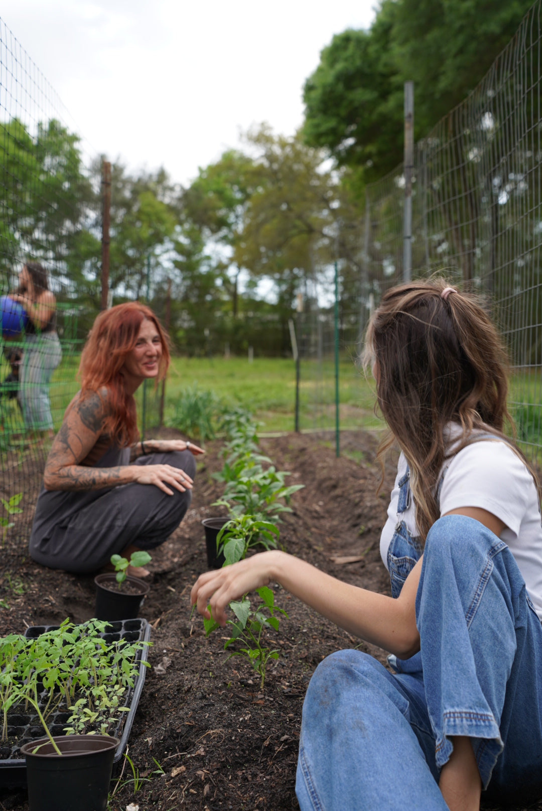 Spring Farm to Table Experience at Golden Garden   May 2, 2026