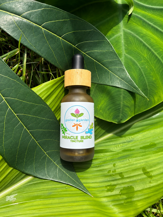 Moringa Miracle Blend