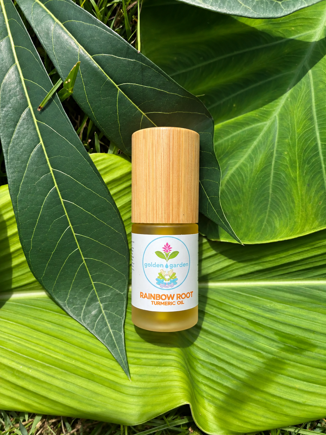 Rainbow Root Turmeric Oil