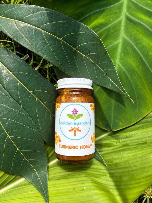 Turmeric Honey