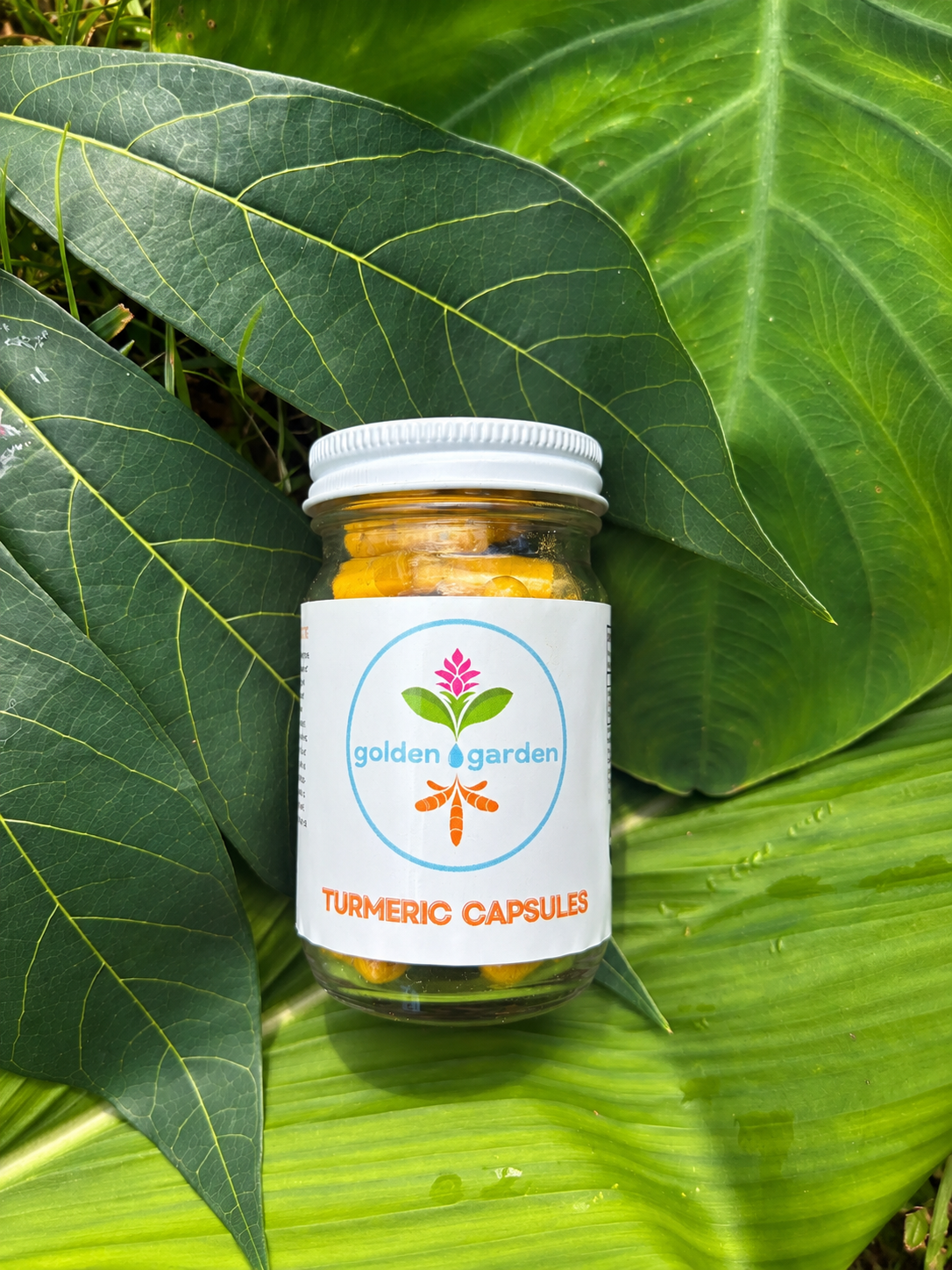 Freeze Dried Turmeric Capsules