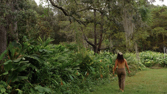 An Evening at Golden Garden - An Immersive Farm to Table Dinner Experience