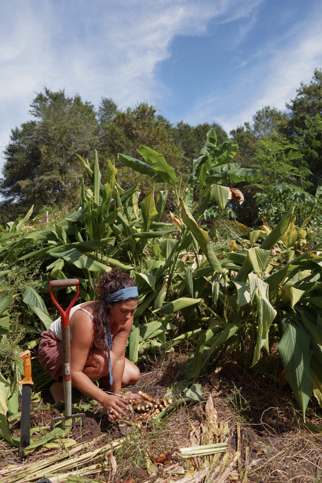 An Evening at Golden Garden - An Immersive Farm to Table Dinner Experience
